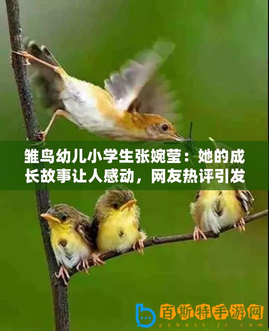 雛鳥幼兒小學(xué)生張婉瑩：她的成長(zhǎng)故事讓人感動(dòng)，網(wǎng)友熱評(píng)引發(fā)共鳴！
