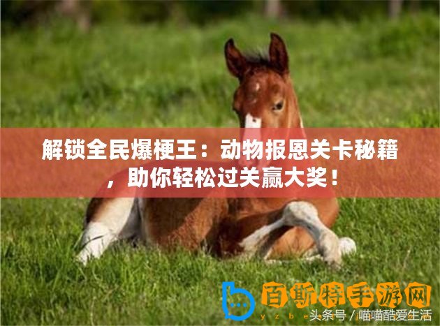 解鎖全民爆梗王：動(dòng)物報(bào)恩關(guān)卡秘籍，助你輕松過關(guān)贏大獎(jiǎng)！