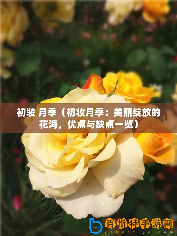 初裝 月季（初妝月季：美麗綻放的花海，優點與缺點一覽）
