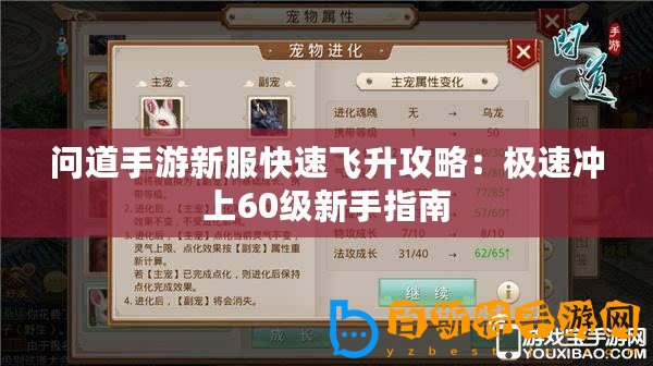 問道手游新服快速飛升攻略：極速?zèng)_上60級(jí)新手指南