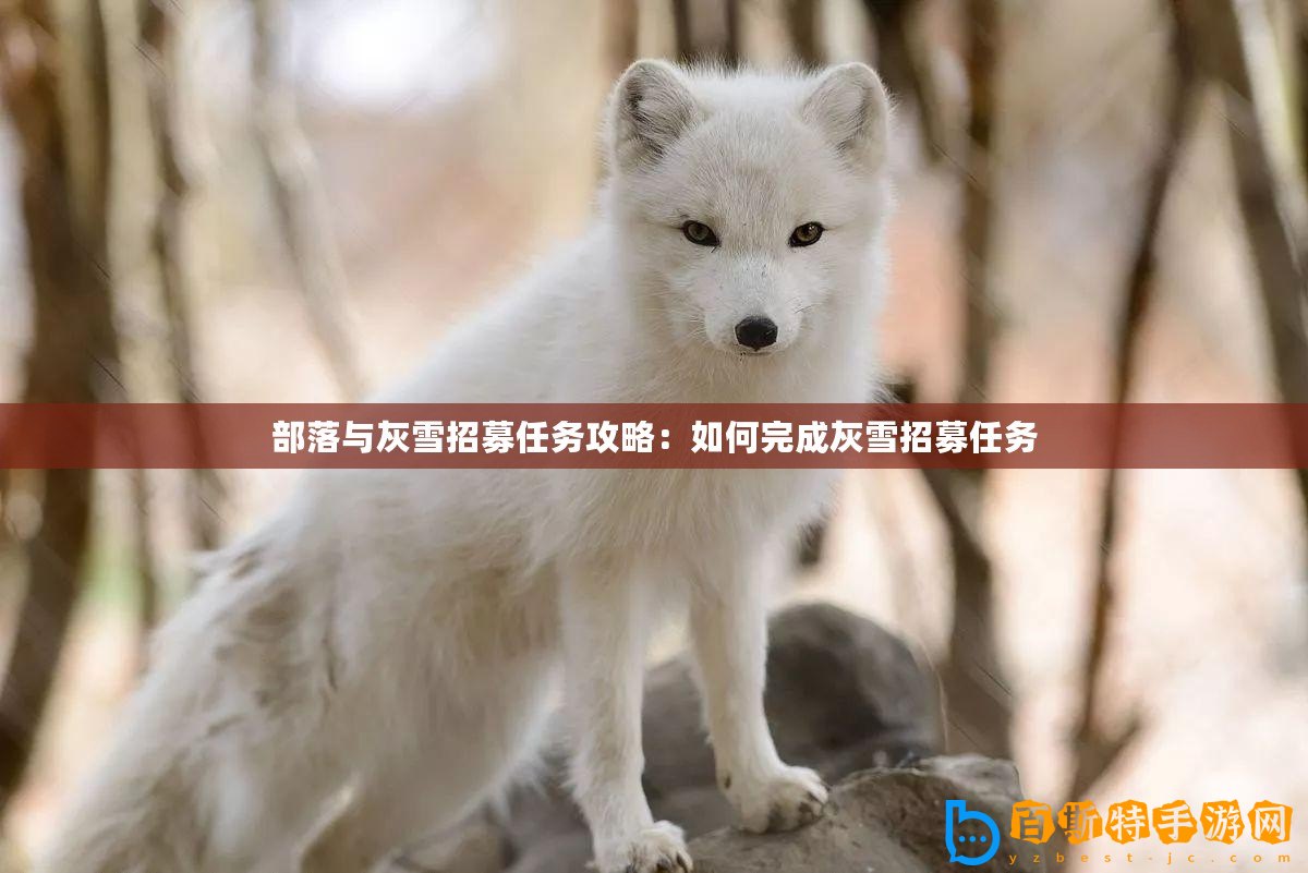 部落與灰雪招募任務攻略：如何完成灰雪招募任務